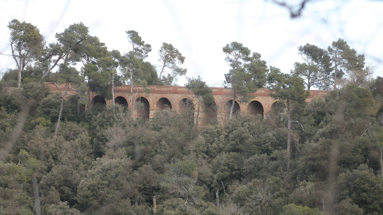 Viaducte de Can Ribes