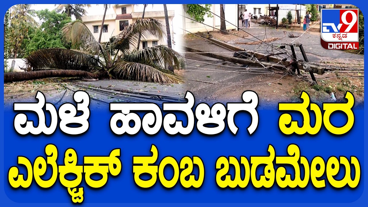 Rain Effect: ಮಳೆ ಹೊಡೆತಕ್ಕೆ ಮುರಿದು ಬಿದ್ದ ವಿದ್ಯುತ್ ಕಂಬ, ತೆಂಗಿನಮರ |#TV9D