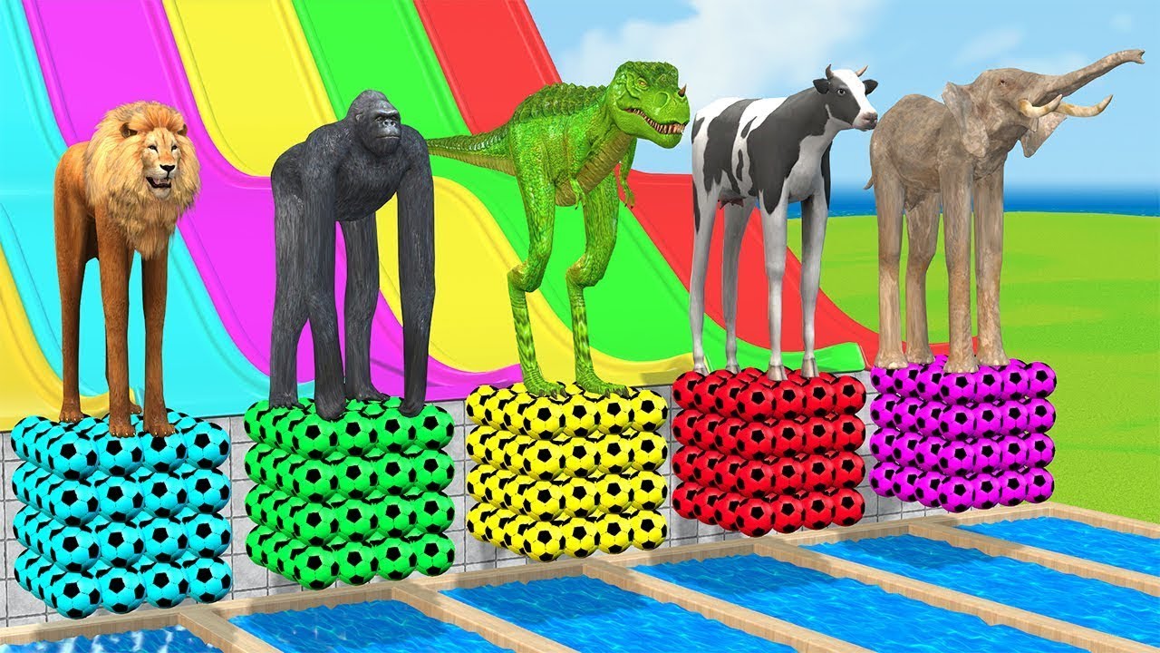 Long Slide Game With Elephant Gorilla Buffalo Hippopotamus Tiger - 3d Animal Game - Funny 3d Animals