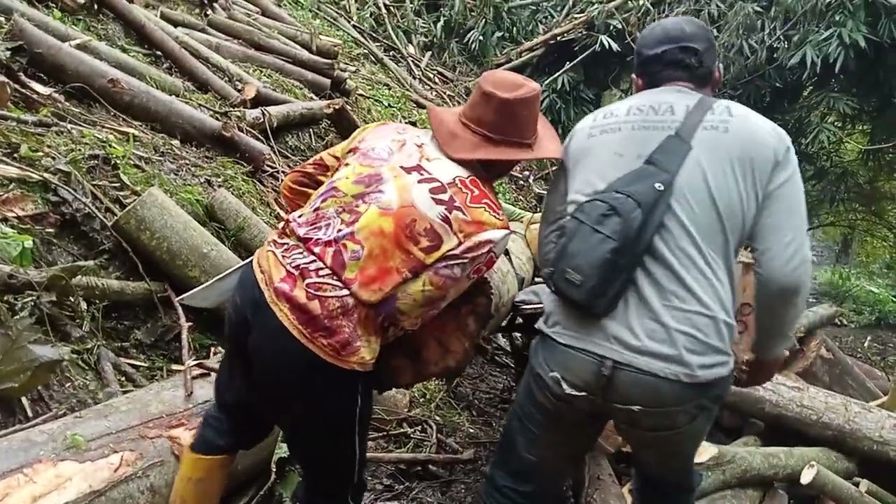 Belantek kayu