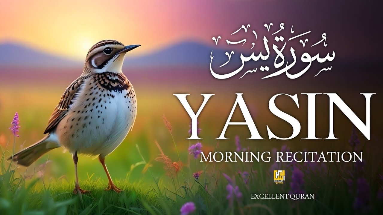Surah Yasin (سورة يس) | Listen Every Morning | Peace for the Heart | Morning Quran | By Alaa Aqel