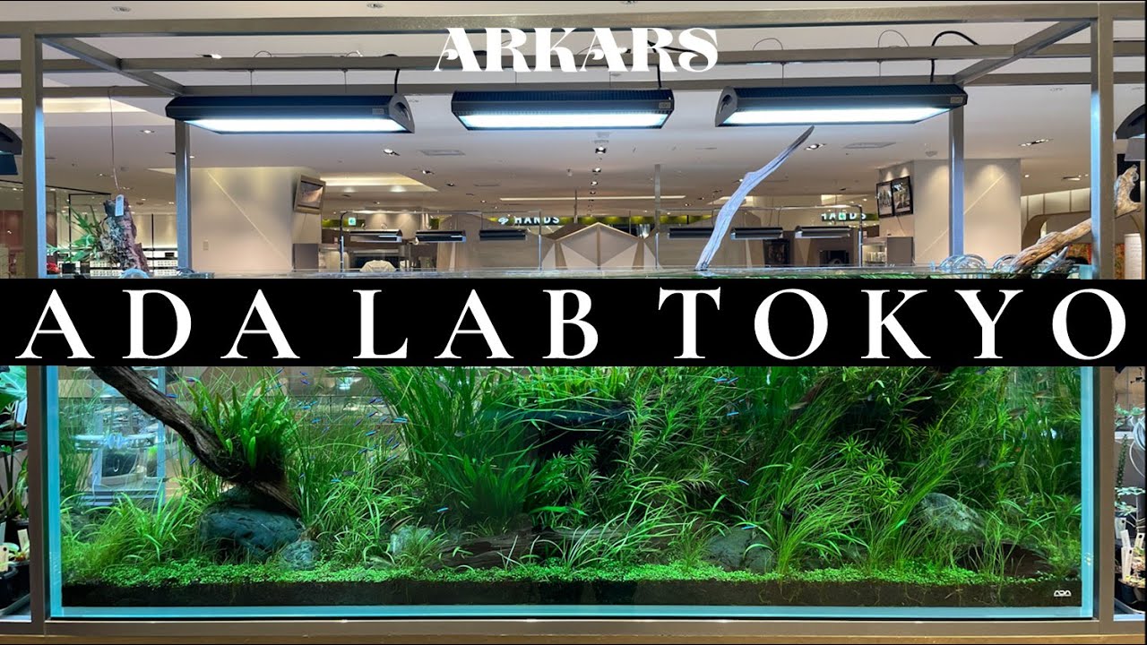ARKARS_048「ADA LAB TOKYO」