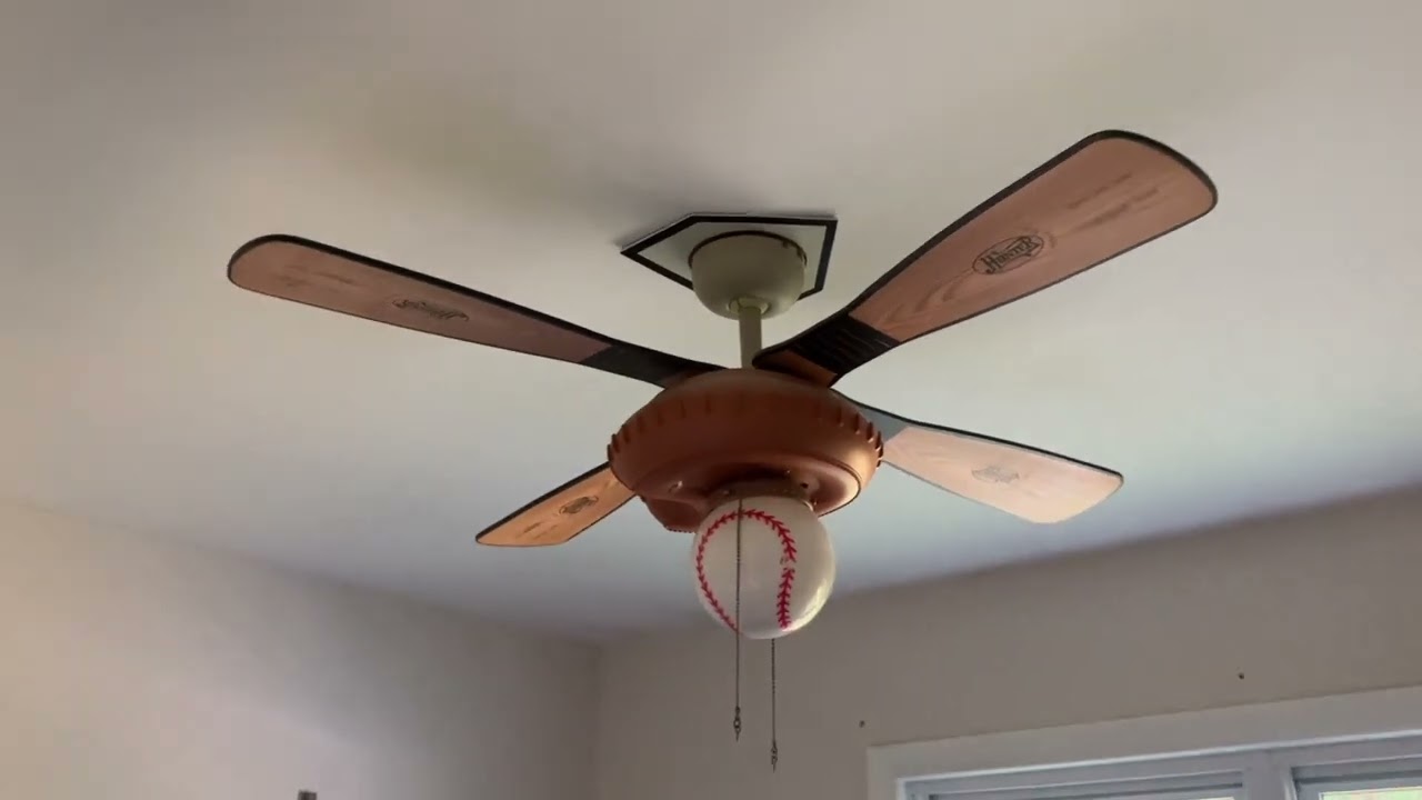 The Ceiling Fans that Came With My House