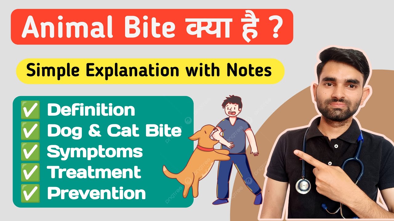 Animal Bite in Hindi | Dog Bite And Cat Bite in Hindi | Animal Bite First Aid Treatment