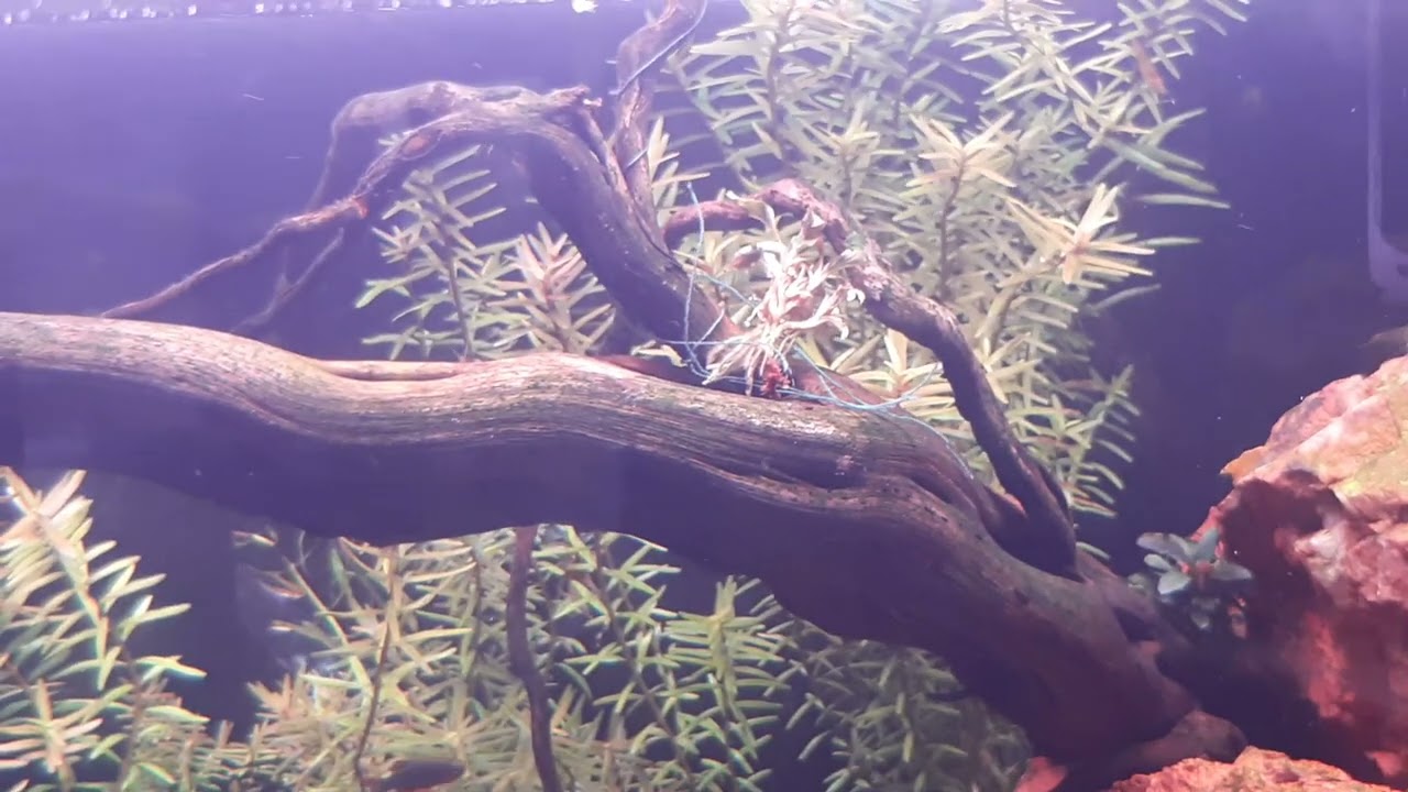 Update zum 240cm Aquarium