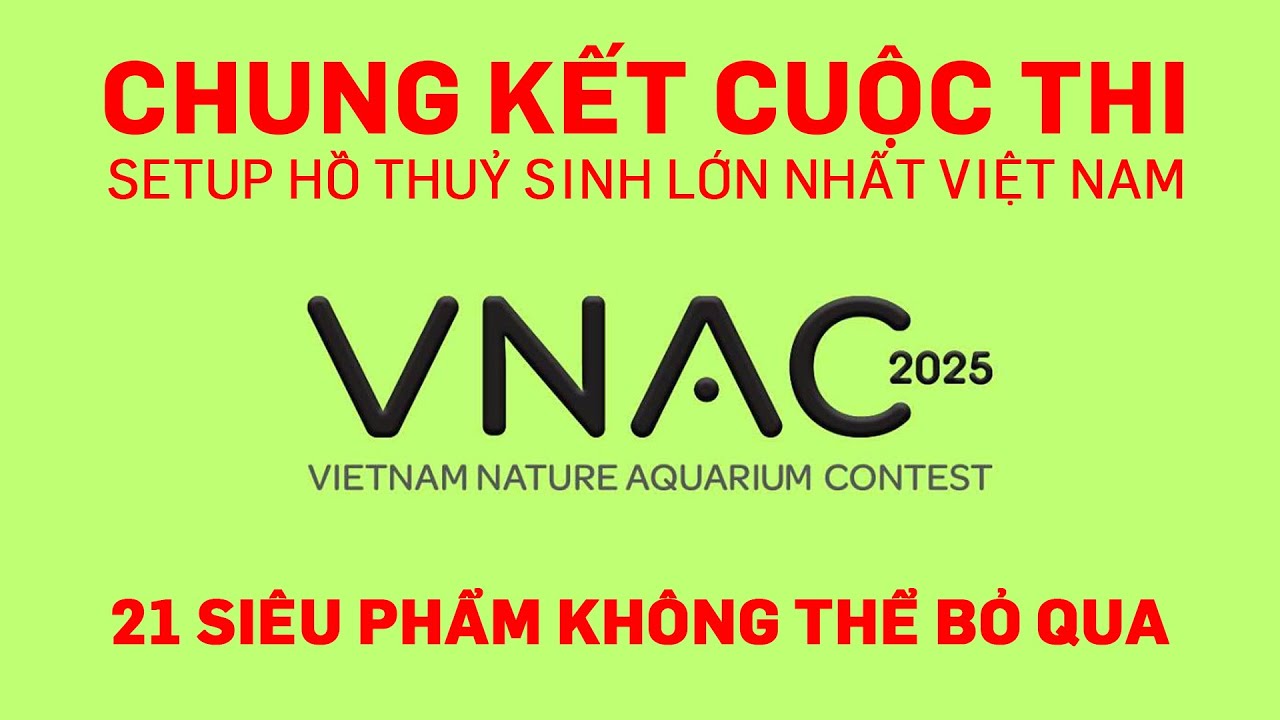 Chung kết cuộc thi setup hồ thuỷ sinh lớn nhất Việt Nam - VNAC 2025