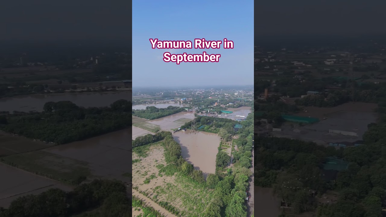 Delhi NCR Floods 😢 #yamuna #dam #rain #barish #delhi #delhincr #flood #life #travel #river #ganga