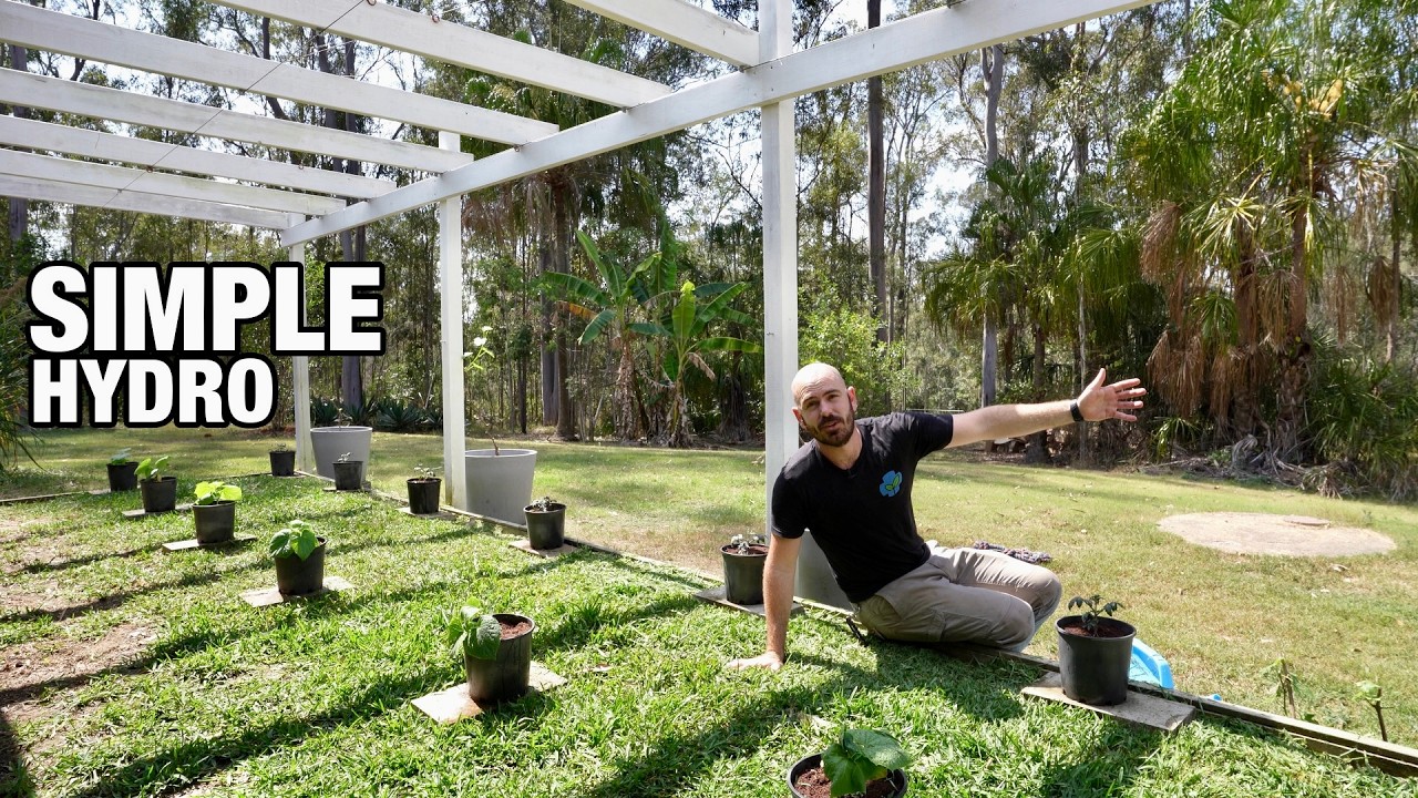 The Simplest Hydroponic System: Drain to Waste