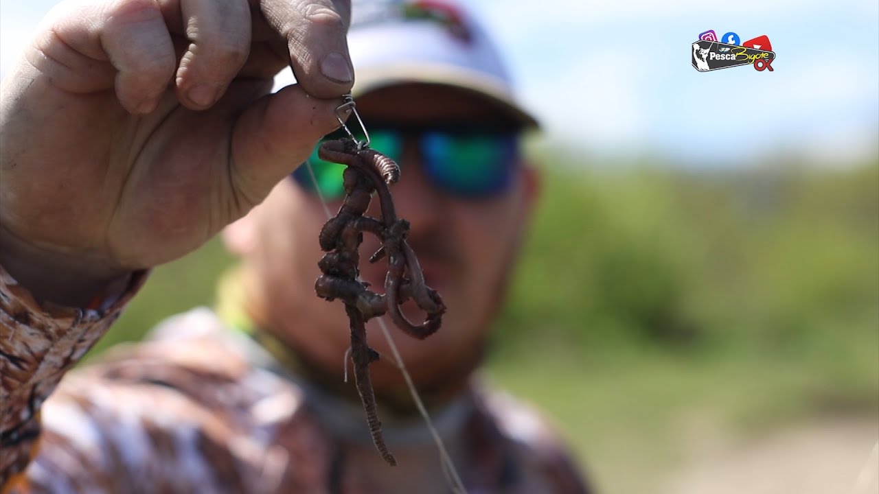 Pesca de Bagre Sapo Muy Lindo// #pescabigoteok // #shorts //Va plomo Parck //#catchfish //#fishing