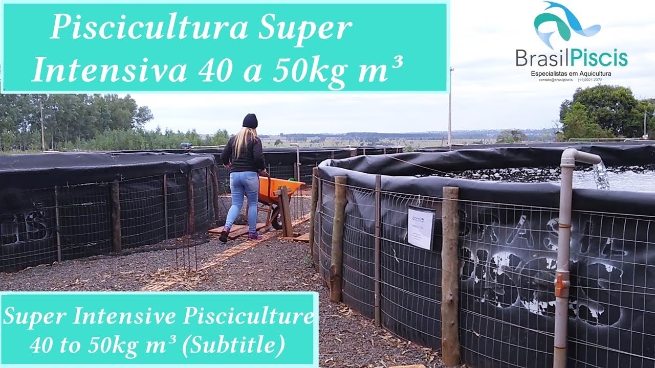 Sistema de Piscicultura Super Intensiva de Tanques Elevados em Troca Controlada - Vídeo 81