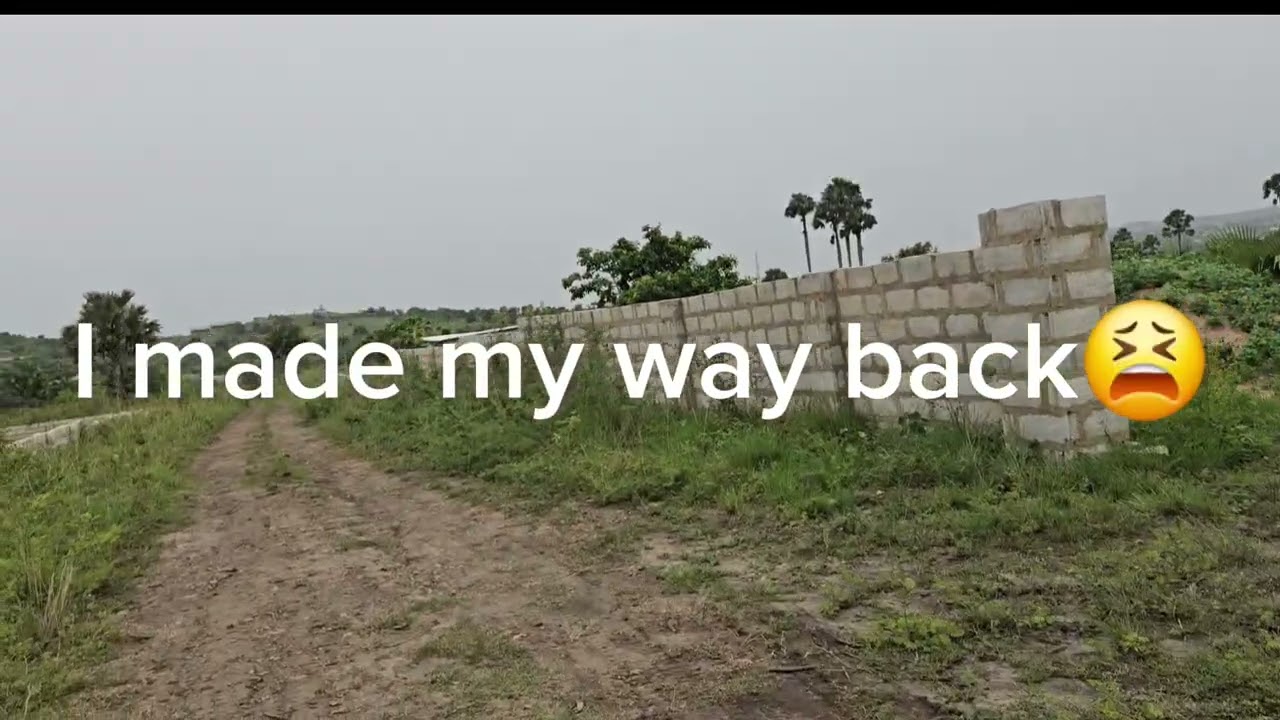 ЗАПУСКАЮ СВОЙ МИНИ-ПРОЕКТ В ГАНЕ 🇬🇭 ☺️ 🤗