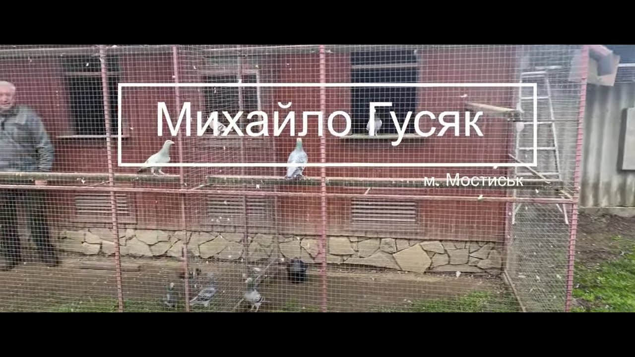 Михайло Гусяк