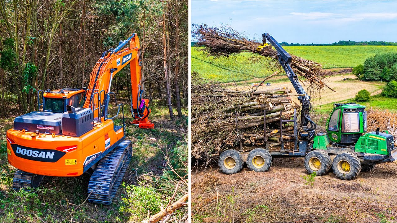 Erdészeti fakitermelés 🌳| Doosan DX235 + Westtech Woodcracker C450 + John Deere forwarder