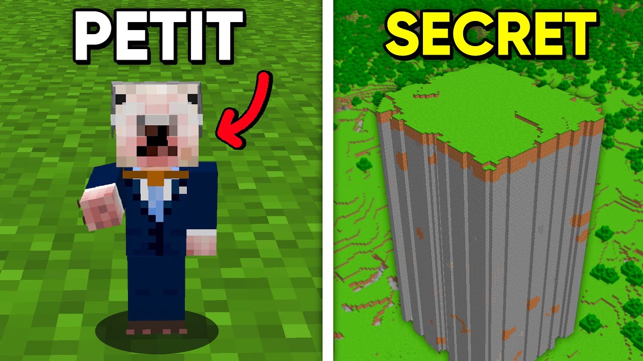 39 Trucs que vous ne SAVIEZ PAS sur Minecraft !