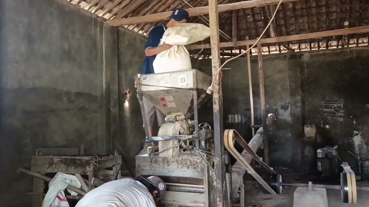 Menggiling 3 Karung Padi