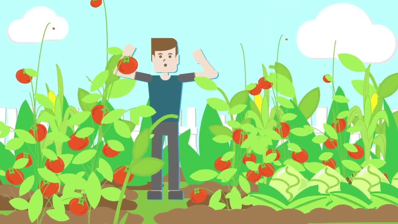 Gardening Tips with Harvest Right: Grow and Preserve Your Own Food