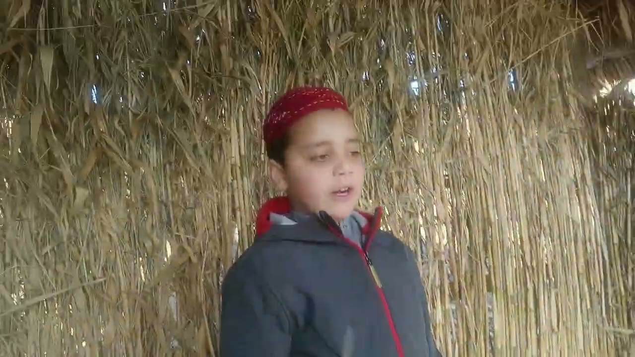 2nd vlog ___ picnic __ our village