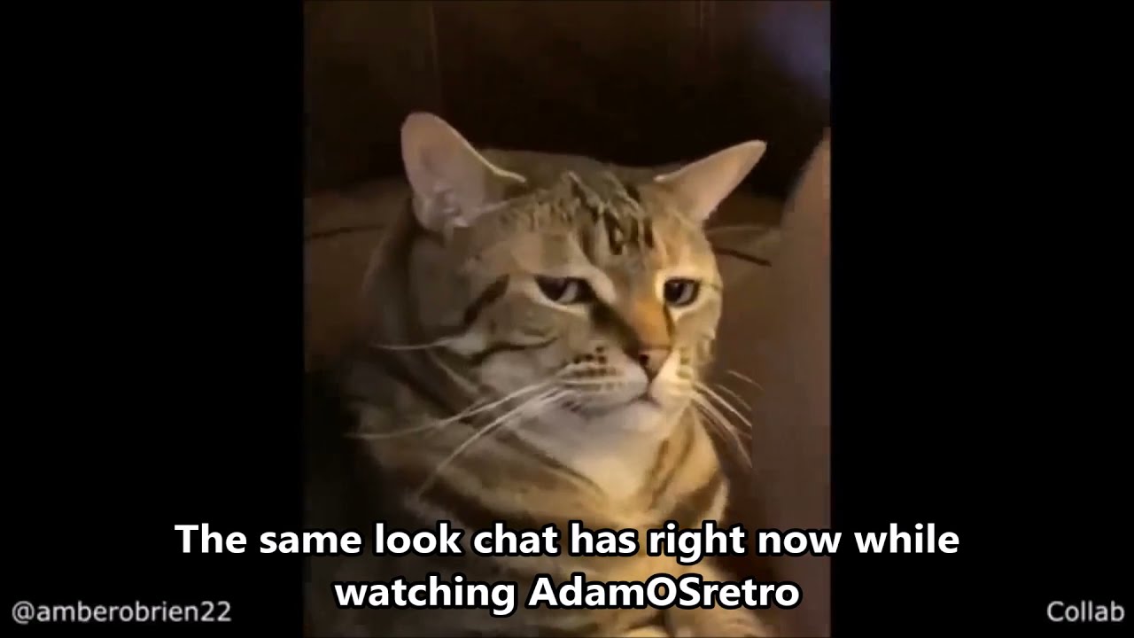 [ Terrible YouTube Intros ]
