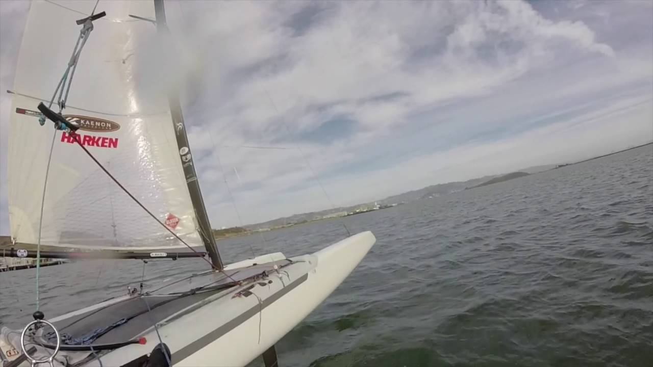 Foiling A Cat Training