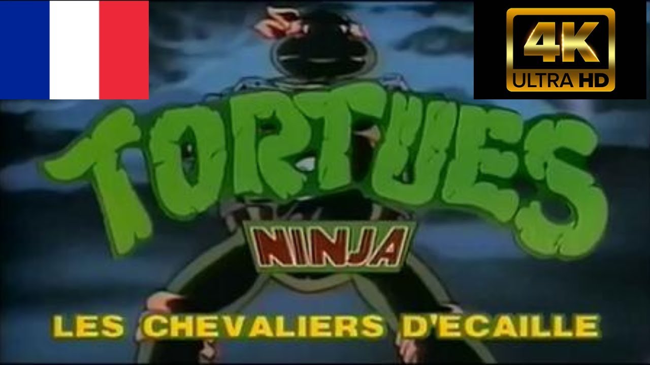 Tortues Ninja G&eacute;n&eacute;rique 1987 / VF 4K