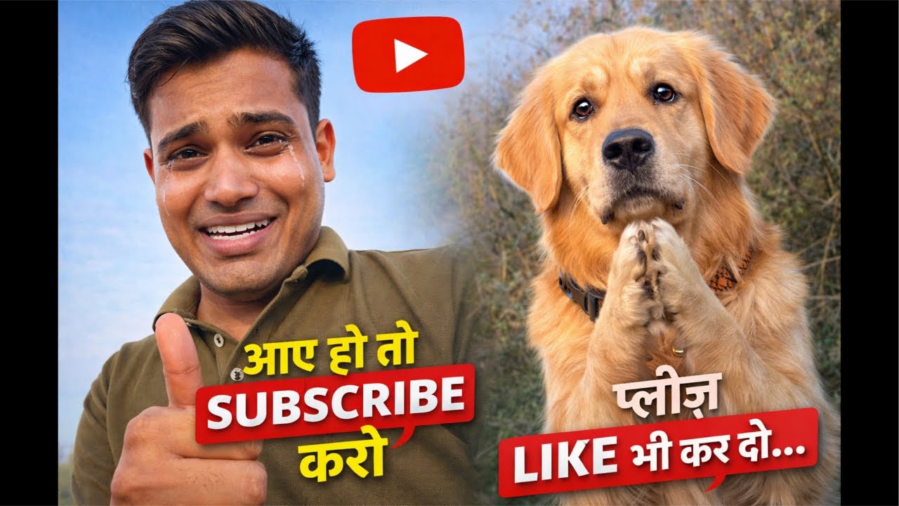 aaye Ho to ￼ subscribe karo |Please support| ￼ evening workout￼#shorts #shortvideo #pet  #cutepuppy
