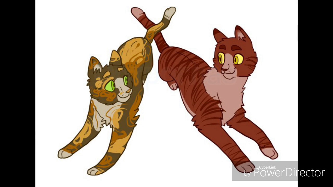Коты-воители от pebblenose
