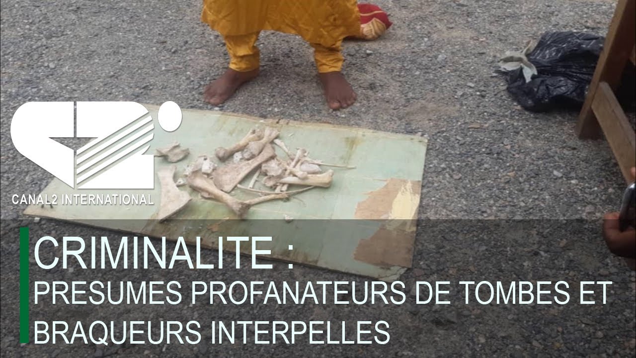CRIMINALITE : Pr&eacute;sum&eacute;s profanateurs de tombes et braqueurs interpell&eacute;s