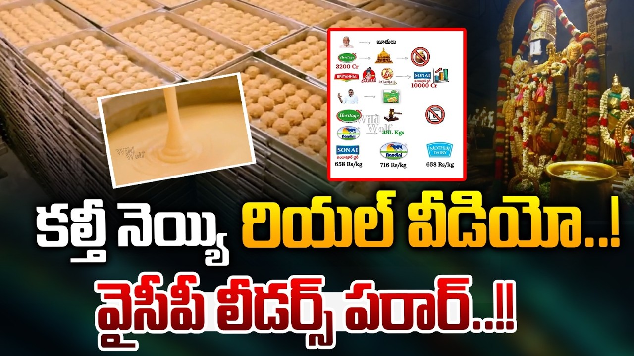 TTD Laddu Real Stroy: కల్తీ నెయ్యి రియల్ వీడియో..! | YS Jagan | YV Subba Reddy | Wild Wolf Tajaa