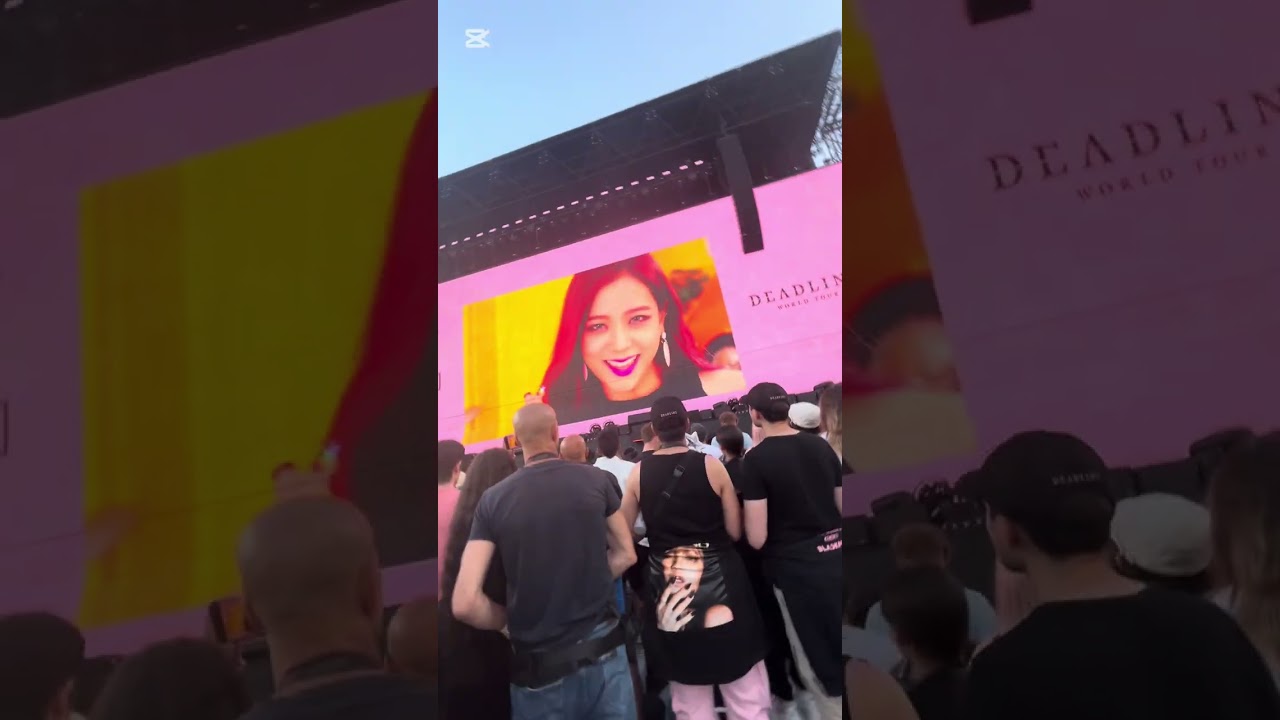 Black pink konserine gittim lisa peluşumu aldııı ( en ön vip)