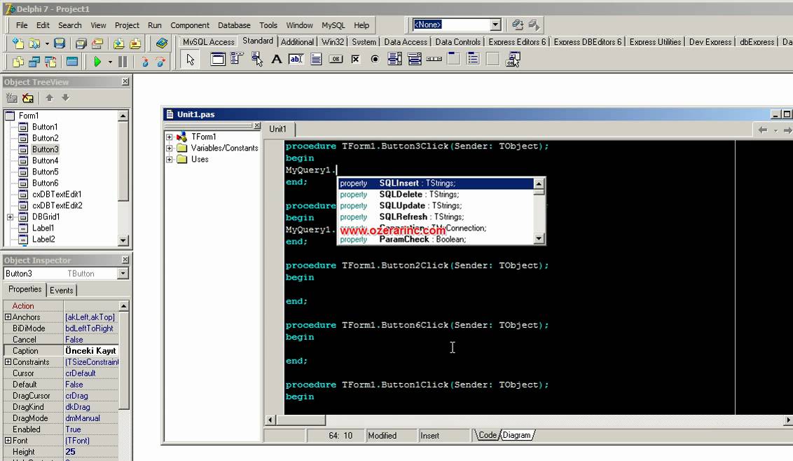 Delphide Dbgrid Kullanımı
