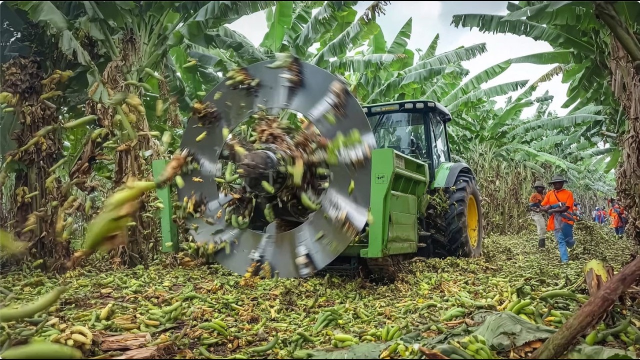 Incredible Powerful Banana Chopper, Farm Machines and Precision Manufacturing – Full Documentary