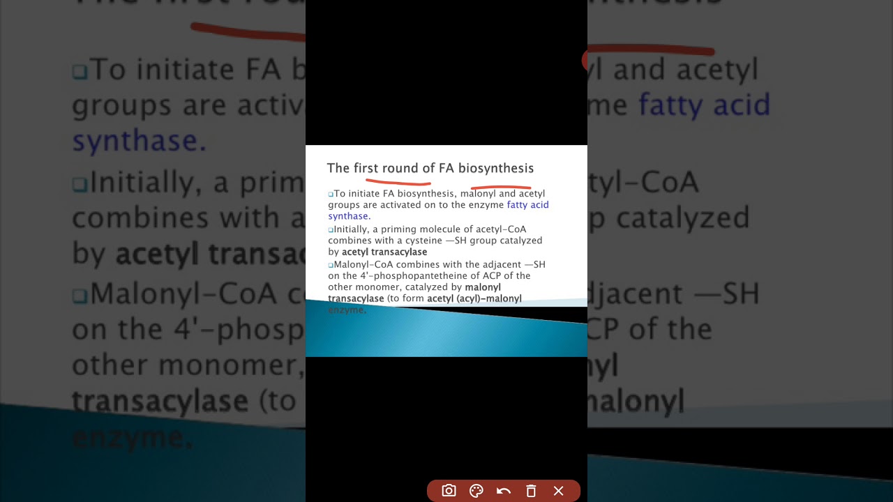 biosynthesis of fats (part 4)