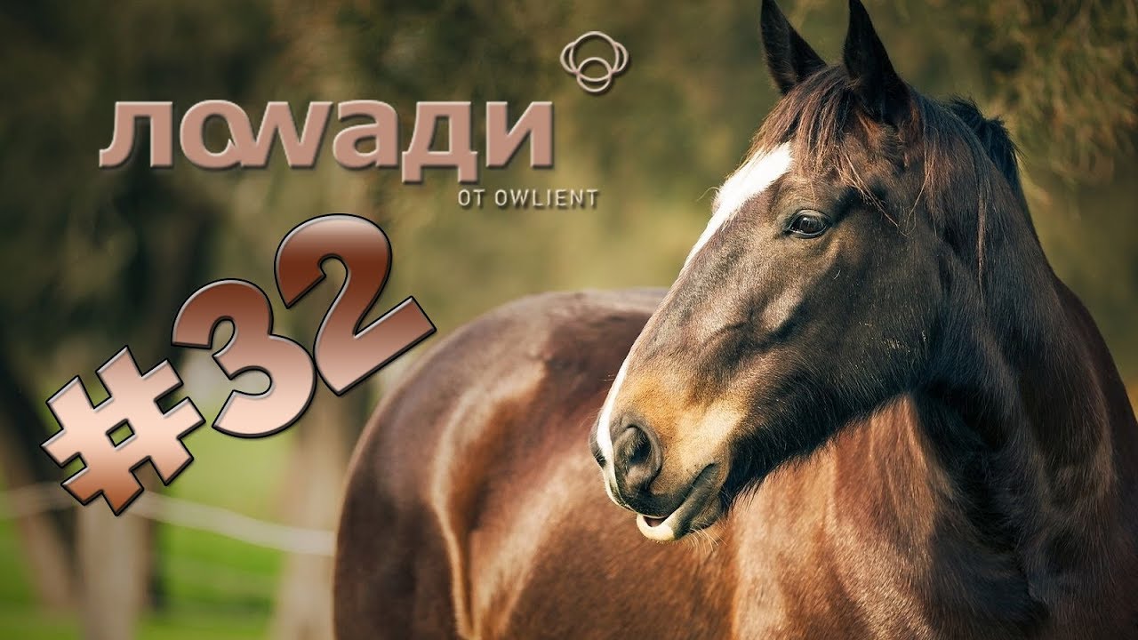 Давай играть в Лоwaди: #32 (КУЧА ЕДИНОРОГОВ)