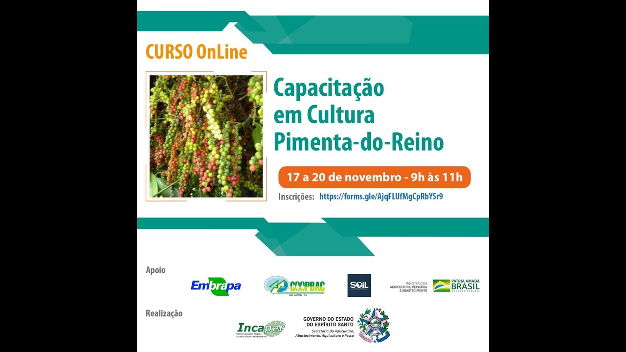 Curso de Produção em Pimenta-do-Reino - 1º dia.