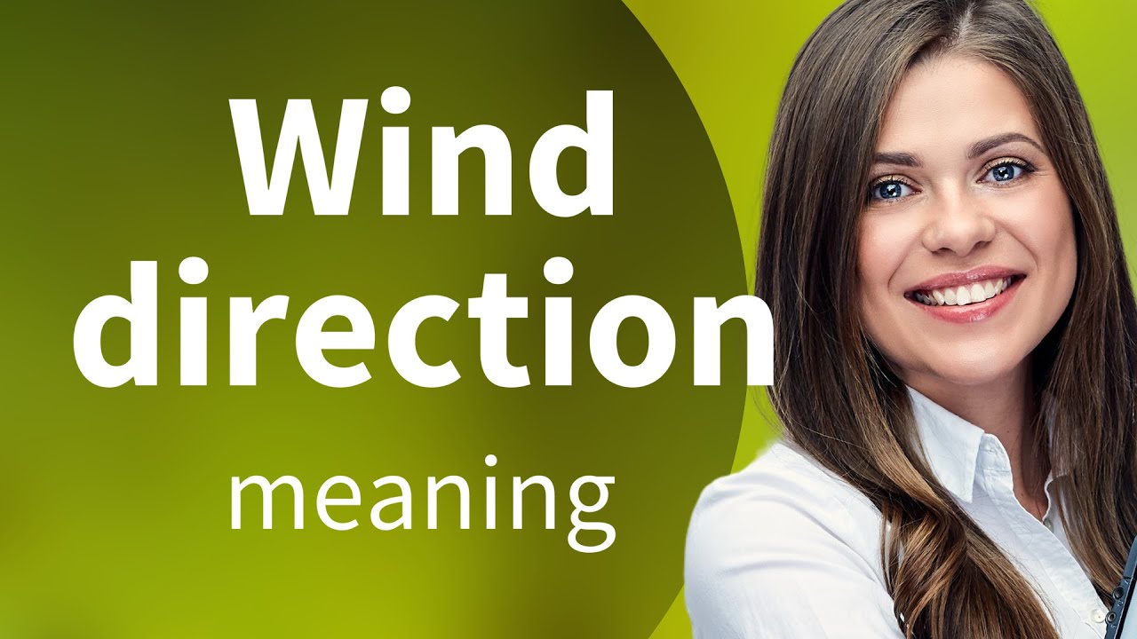 Understanding Wind Direction: An Easy Guide for English Learners