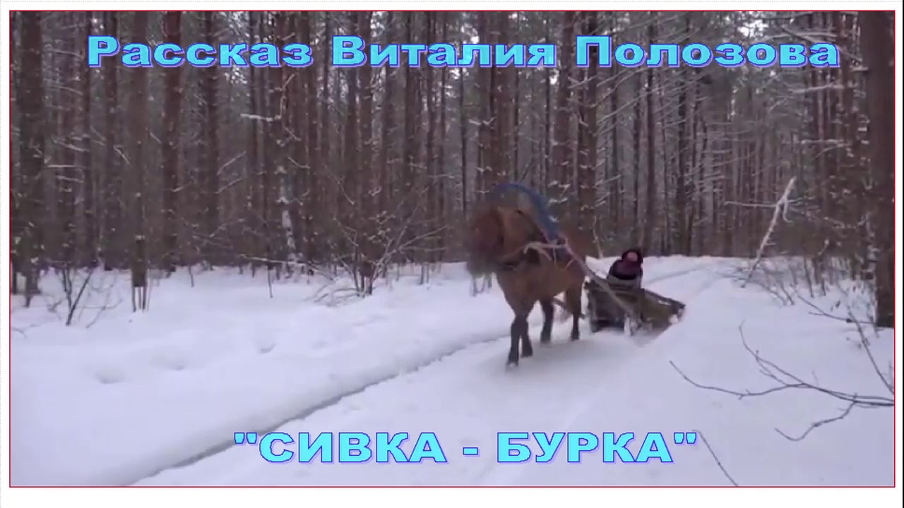 Рассказ Виталия Полозова 