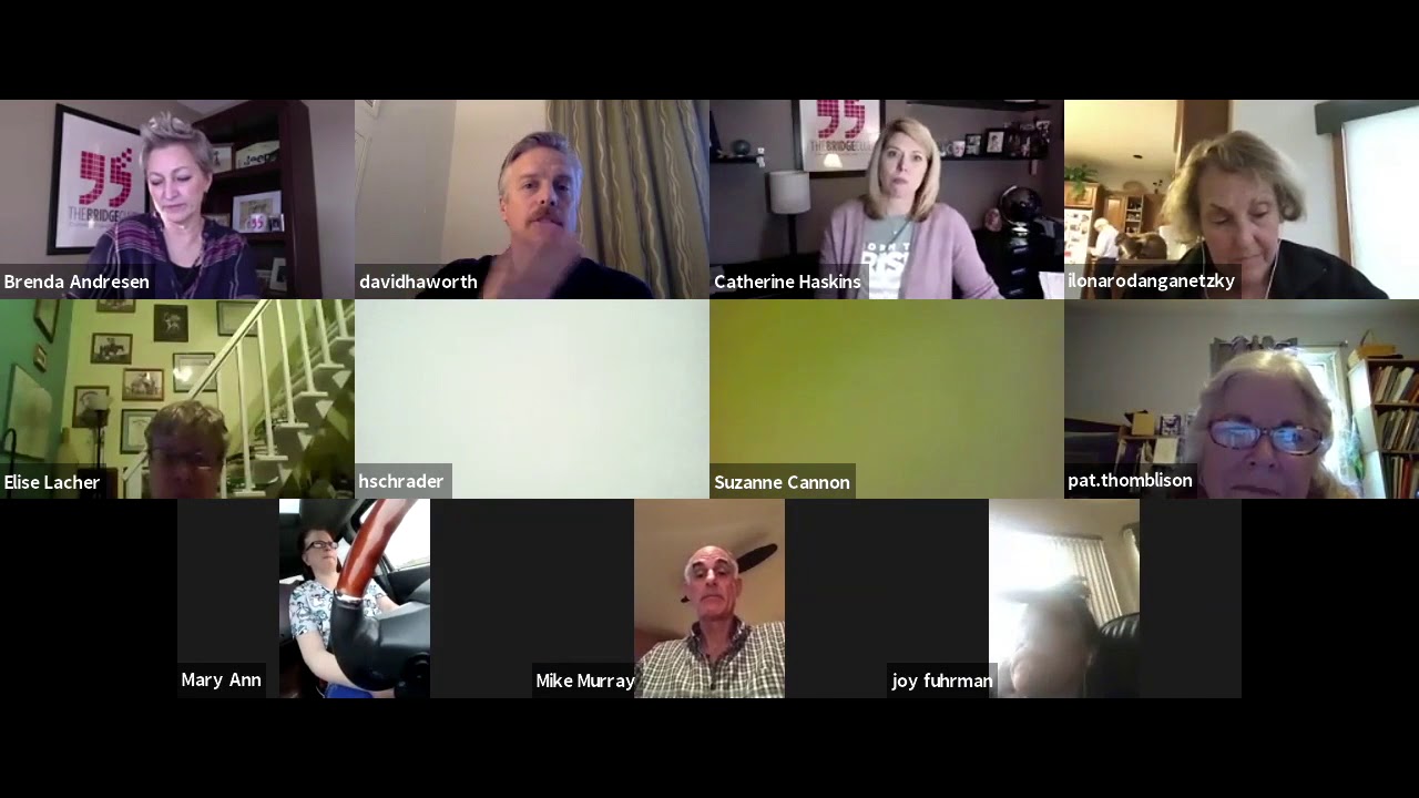 The Bridge Club Access to Care with Dr. David Haworth
