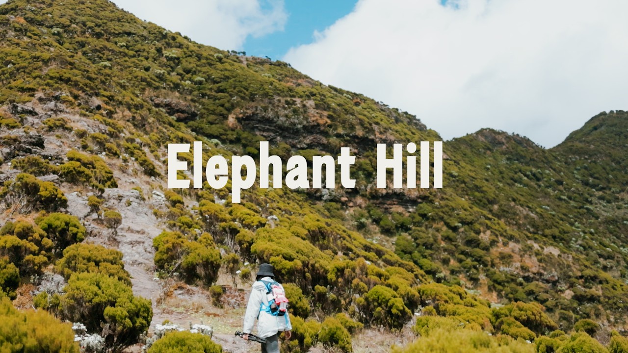 Elephant Hill (3,658m ASL) | 43-Minute Solo Hike | Kenya