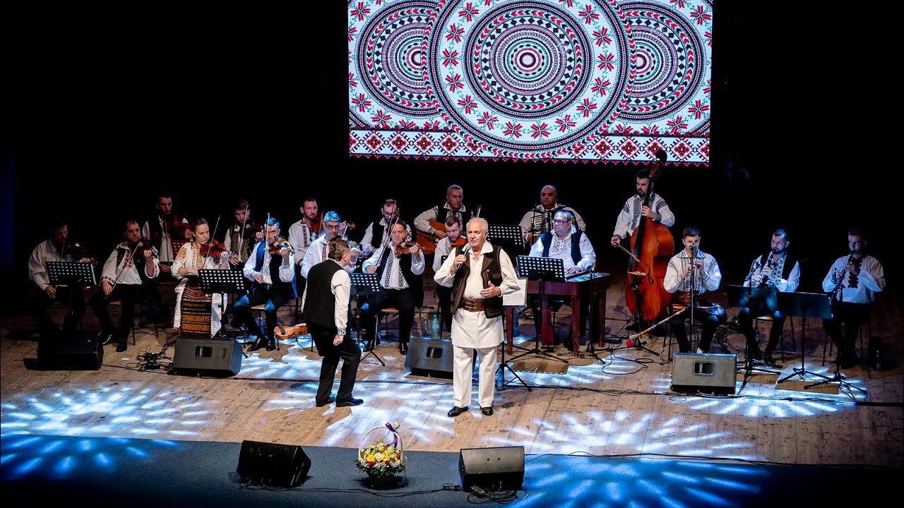 Traian Jurchela - Frunzulița pomului (Doină Live Alba)