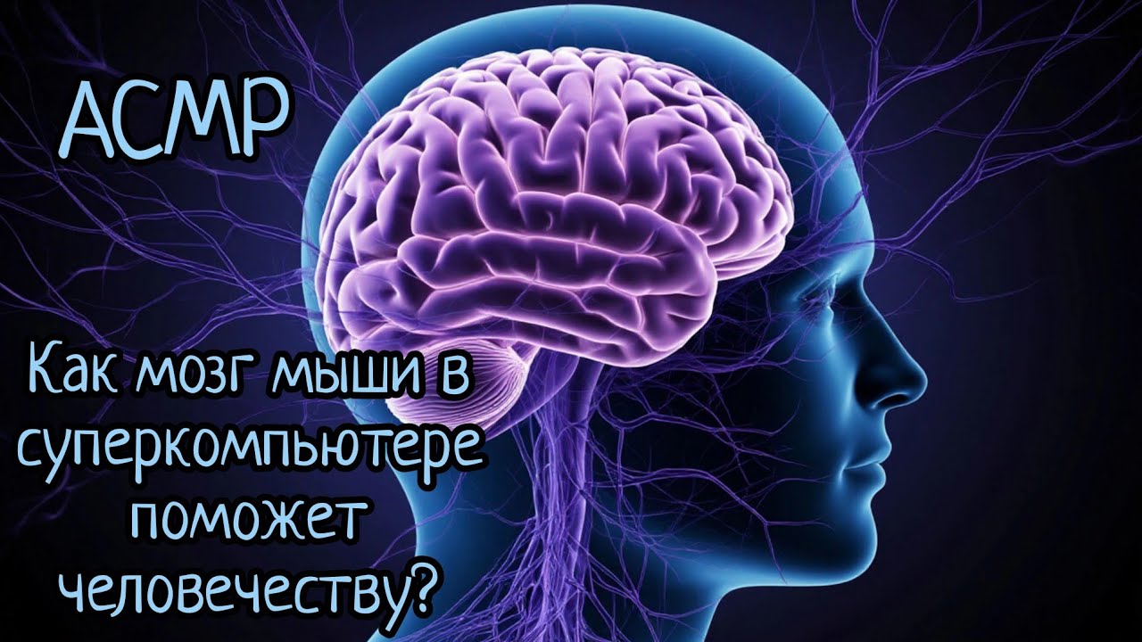 АСМР | Исследования в области мозга | Как мозг агрессоров отличается от мозга обычных людей? | шепот