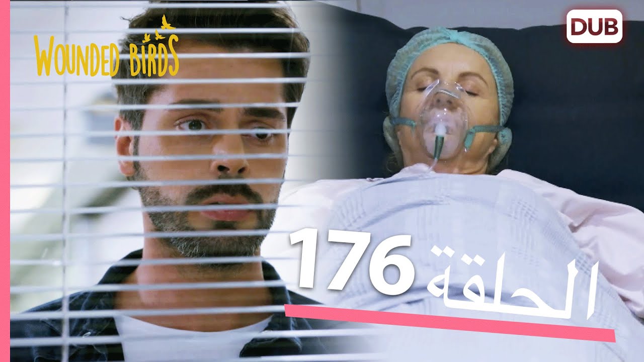 الطيور الجريحة | الحلقة الكاملة 176 |  مدبلج عربي