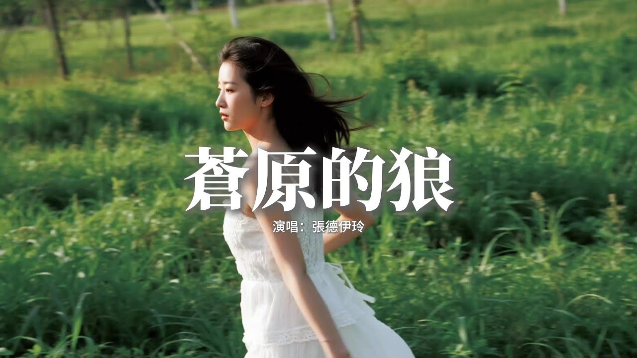 張德伊玲 - 蒼原的狼『蒼原的狼，留不住那隻 維多利亞的飛鳥，我的世界，失去你也許 會變成一座孤島。』【動態歌詞MV】