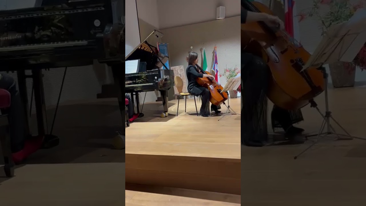 Saent Saens Allegro Appassionato