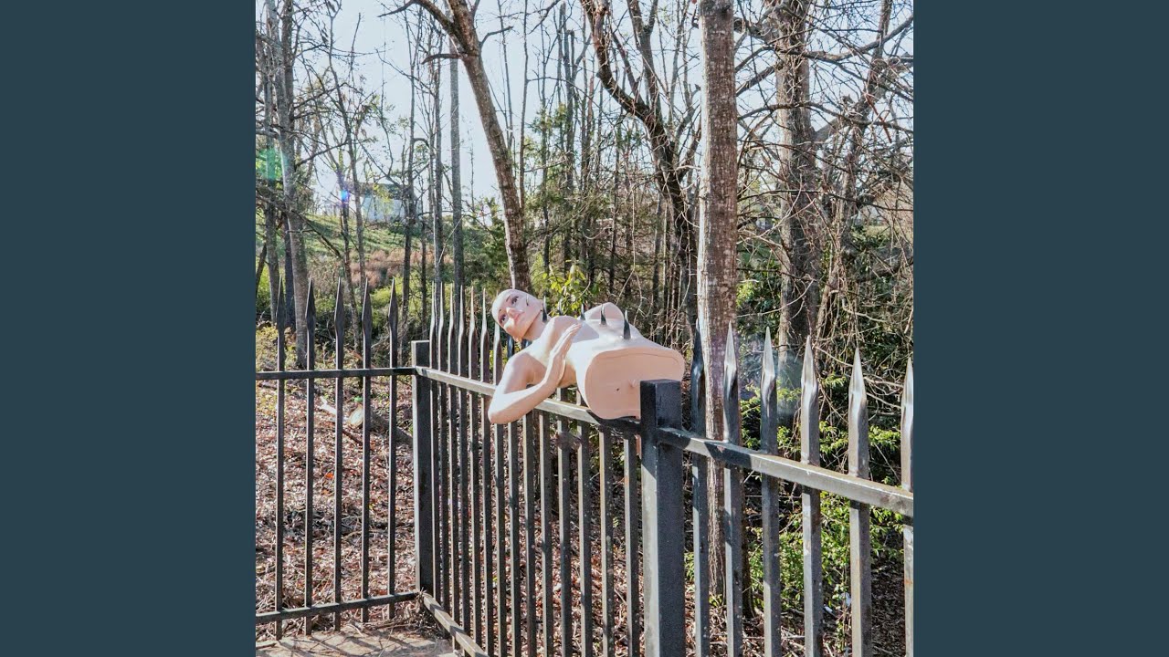On the Fence