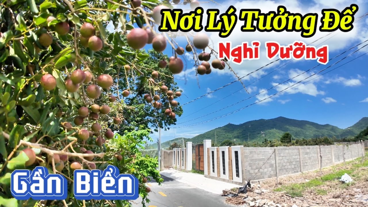 Mảnh Đất View N&uacute;i Minh Đạm Thuộc X&atilde; Phước Hải , TP.HCM #nghiduong #vườn #batdongsan #bds