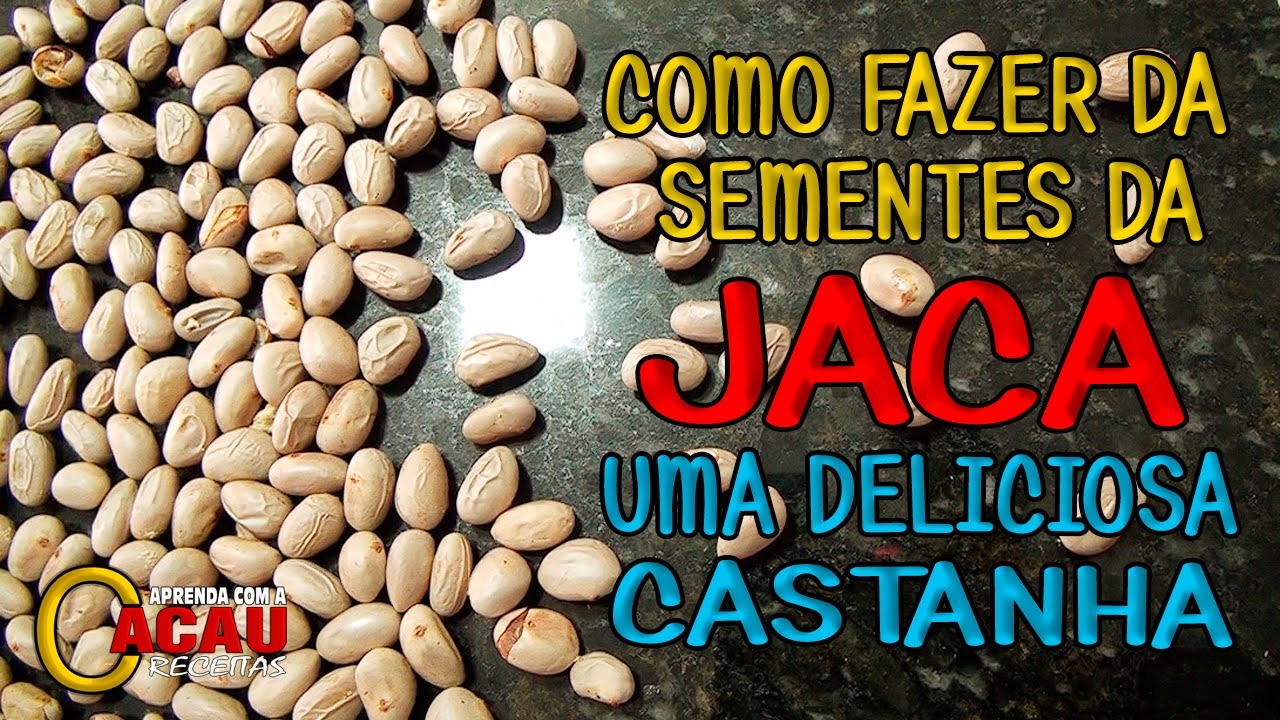 COMO FAZER DA SEMENTE DE JACA UMA DELICIOSA CASTANHA
