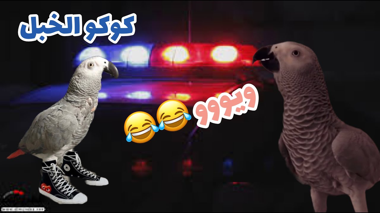 سعيد بن تركي - كوكو الخبل يقلد صوت سفتي الشرطة 😂😂