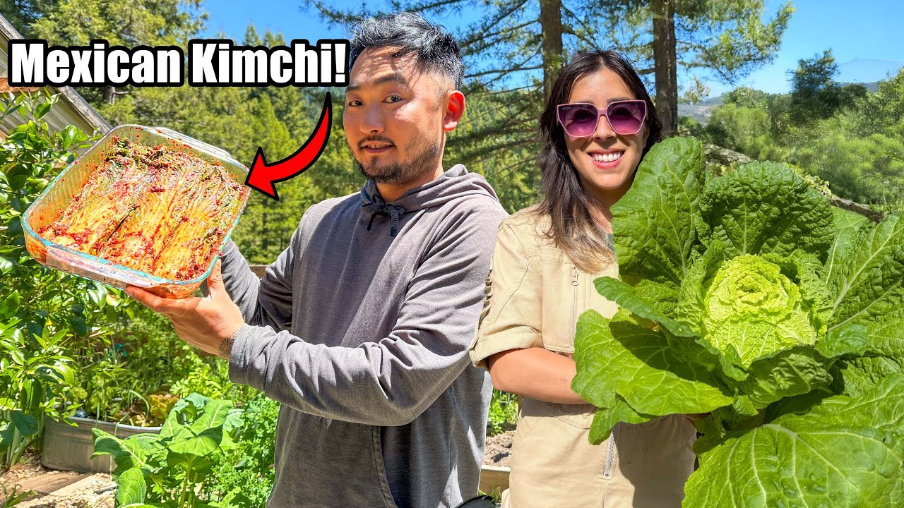 First Large Homestead Harvest | Let's make Kimchi