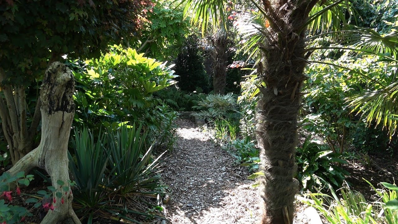 Small Tropical Garden, Hazerswoude-Dorp, the Netherlands
