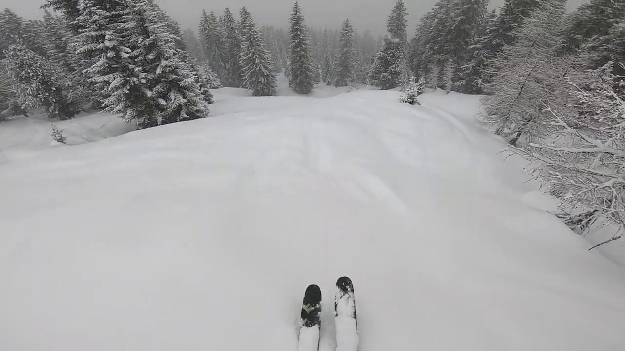 Austria - Mayrhofen - Zillertal - Tyrol - Freeride skis - skitouring, narty, freeride